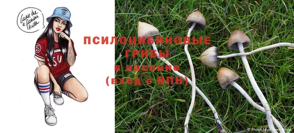 спайс Алзамай