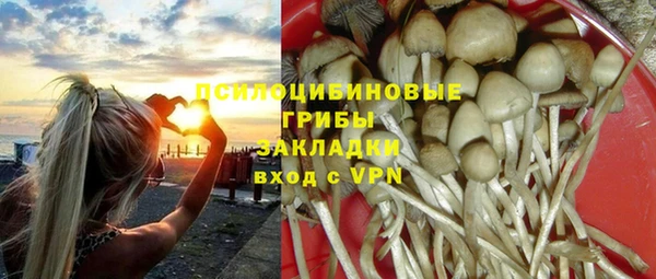 мяу мяу мука Алексеевка