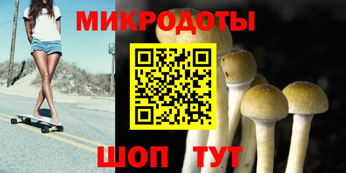 Псилоцибиновые грибы мицелий  Вход с VPN  Кулебаки 